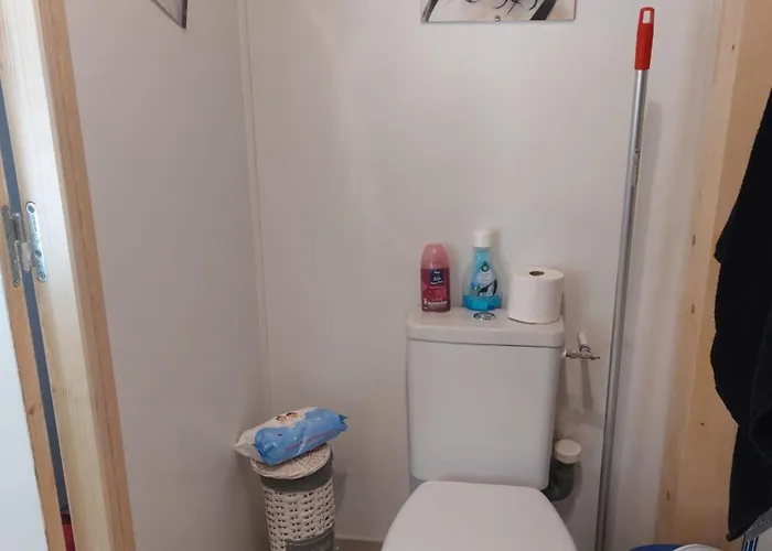 Appartamento A Carreyrat Calme Et Verdoyant Montauban